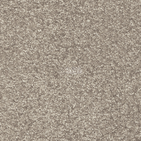 Ковролин  36 фото 1 | FLOORDEALER